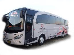 NEW JET BUS 1