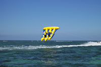 Flying Fish