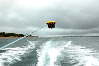 Flying Fish