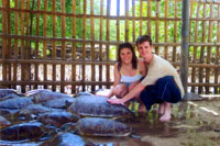 Turtle Island